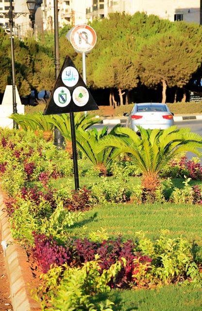 جزيرة وسطية زرعتها الجمعية