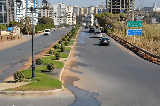 تشجير الجزر الوسطية على مدخل المدينة